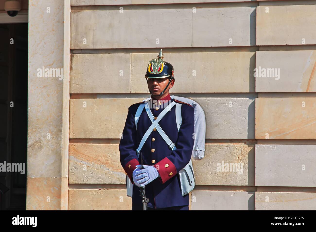 Presidential Guard Helmet