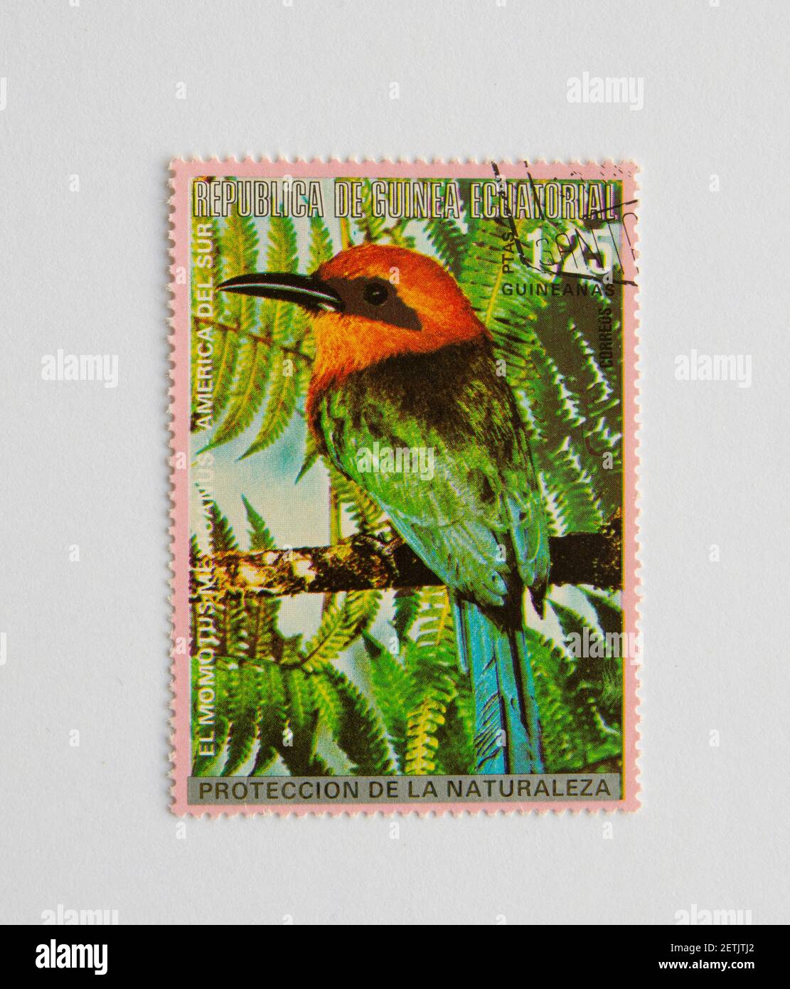 01.03.2021 Istanbul Turkey. Guinea Republic Postage Stamp. circa 1972. Bird Series Momo Stock Photo