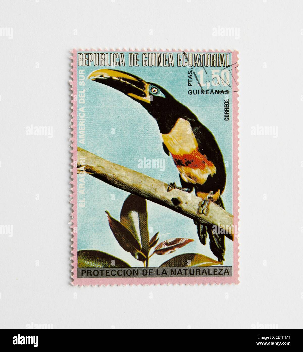 01.03.2021 Istanbul Turkey. Guinea Republic Postage Stamp. circa 1972. Bird Series. El ARACARI Stock Photo
