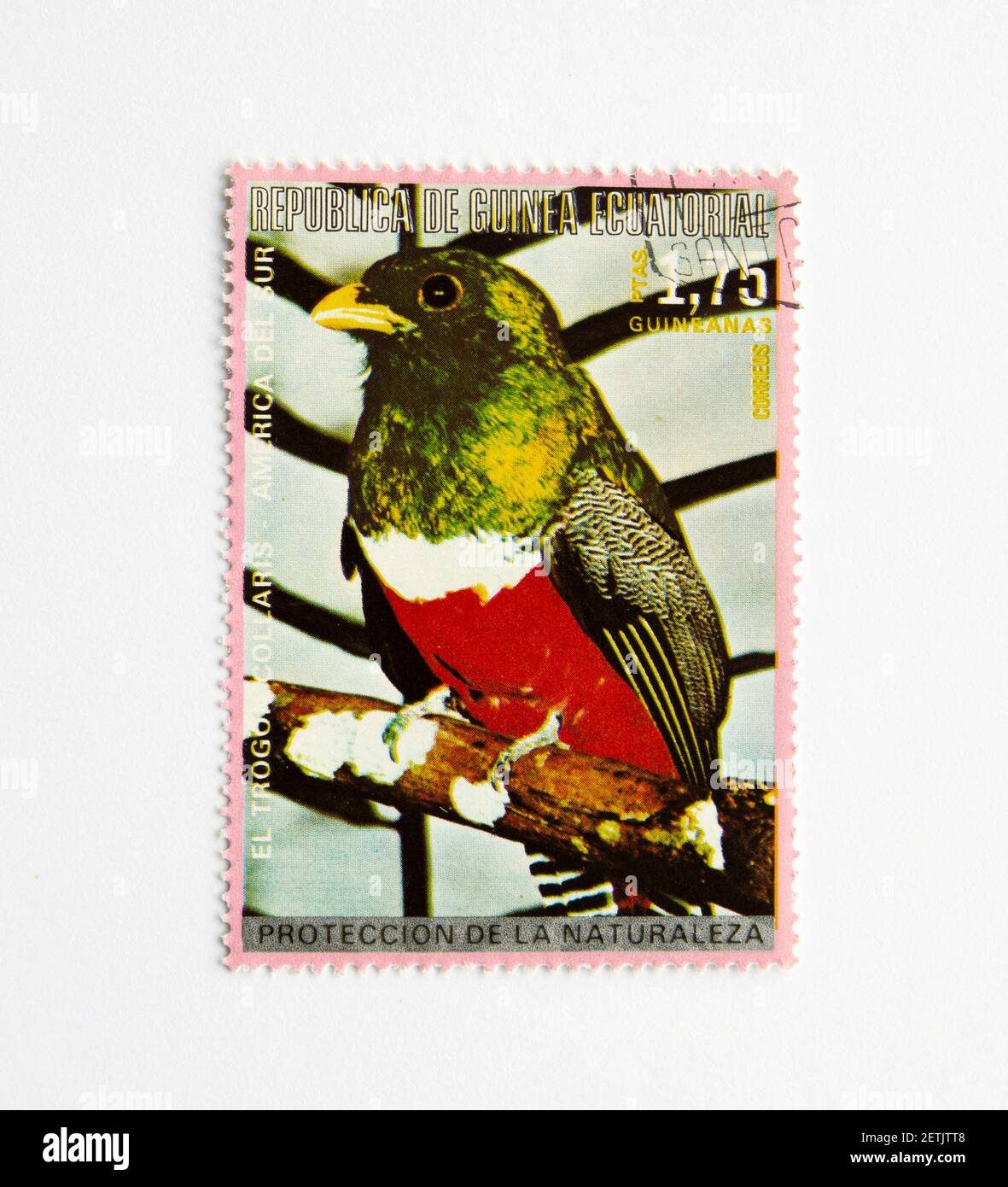 01.03.2021 Istanbul Turkey. Guinea Republic Postage Stamp. circa 1972. Bird Series. El Trogol Collaris Stock Photo