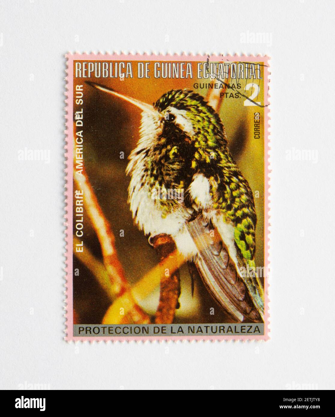 01.03.2021 Istanbul Turkey. Guinea Republic Postage Stamp. circa 1972. Bird Series. Colibri Stock Photo