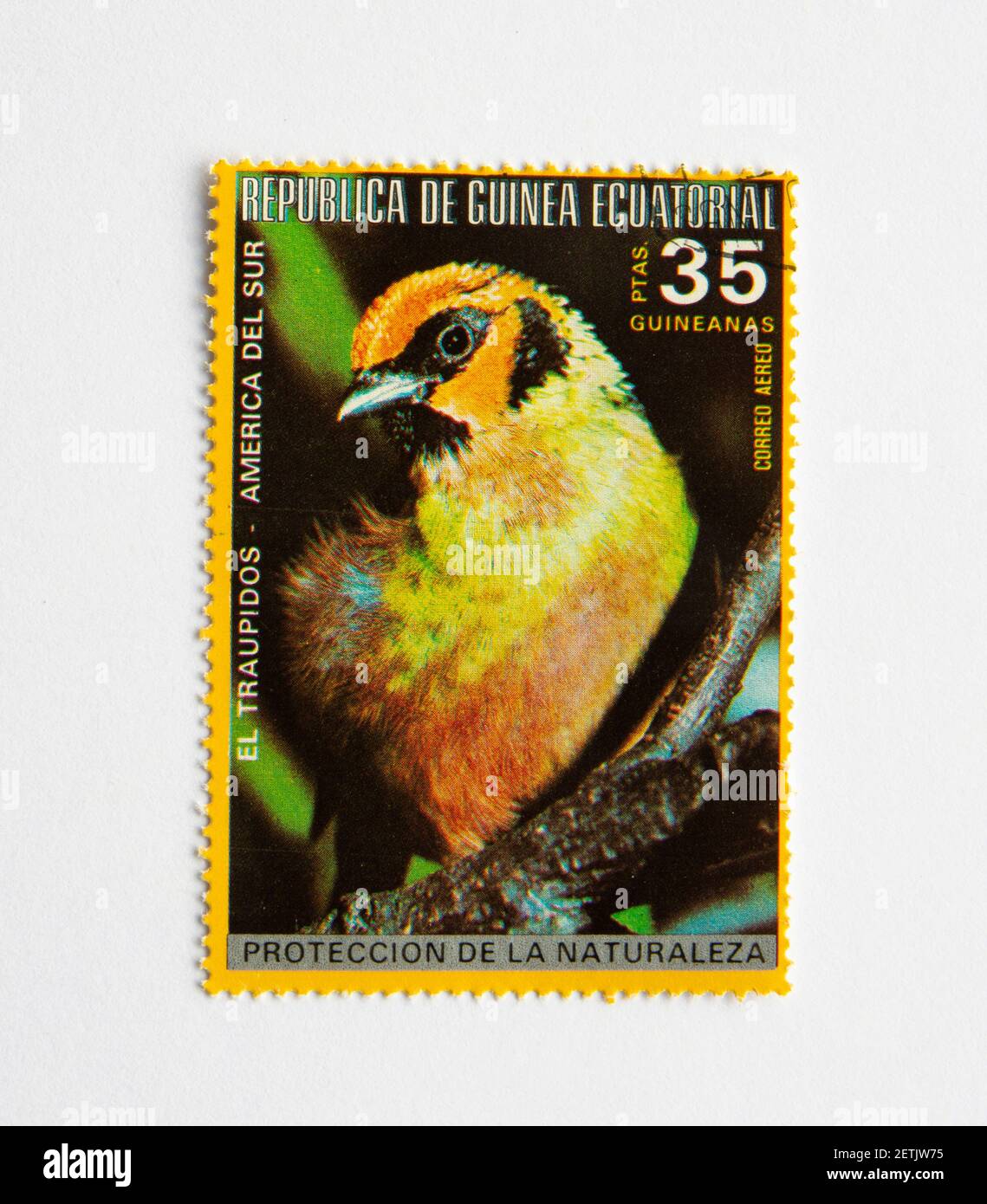 01.03.2021 Istanbul Turkey. Guinea Republic Postage Stamp. circa 1972. Bird Series. El traupidos Stock Photo