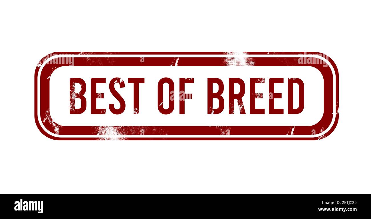 Best of Breed - red grunge button, stamp Stock Photo