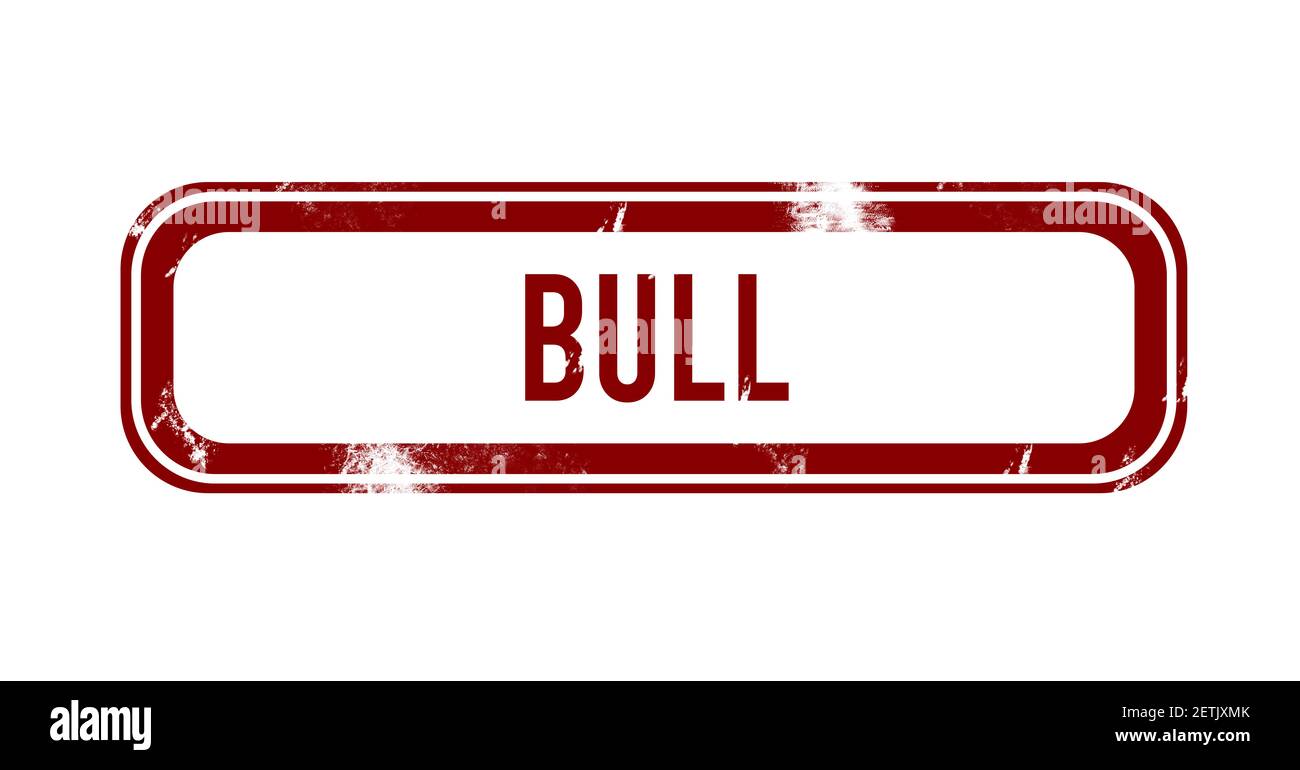 Bull Machine Brinquedos Infláveis - Crunchbase Company Profile & Funding