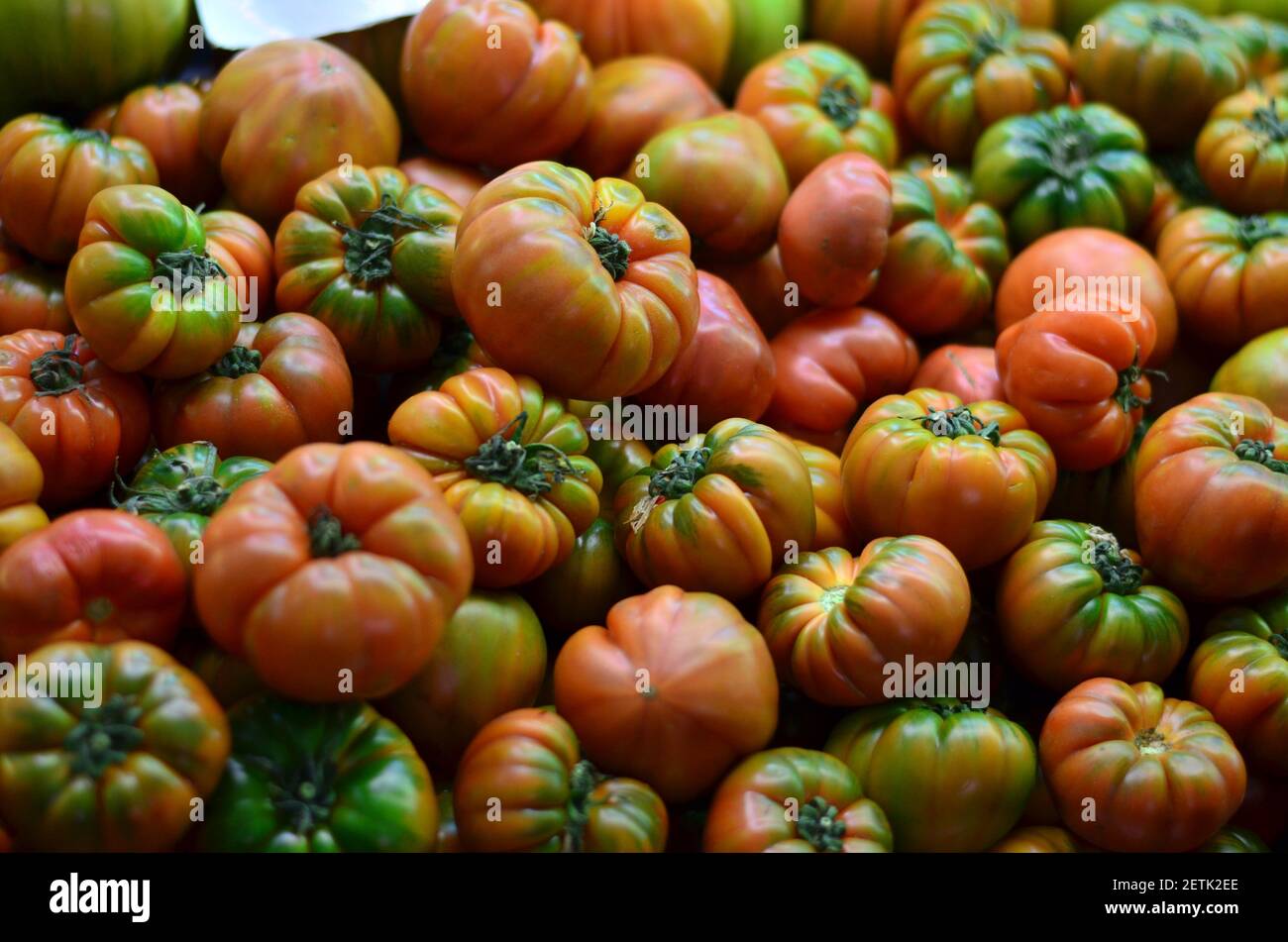 Fresh red and green tomatoes, freshly harvested from the garden, ready for sale at the vegetable market. Stock Photo