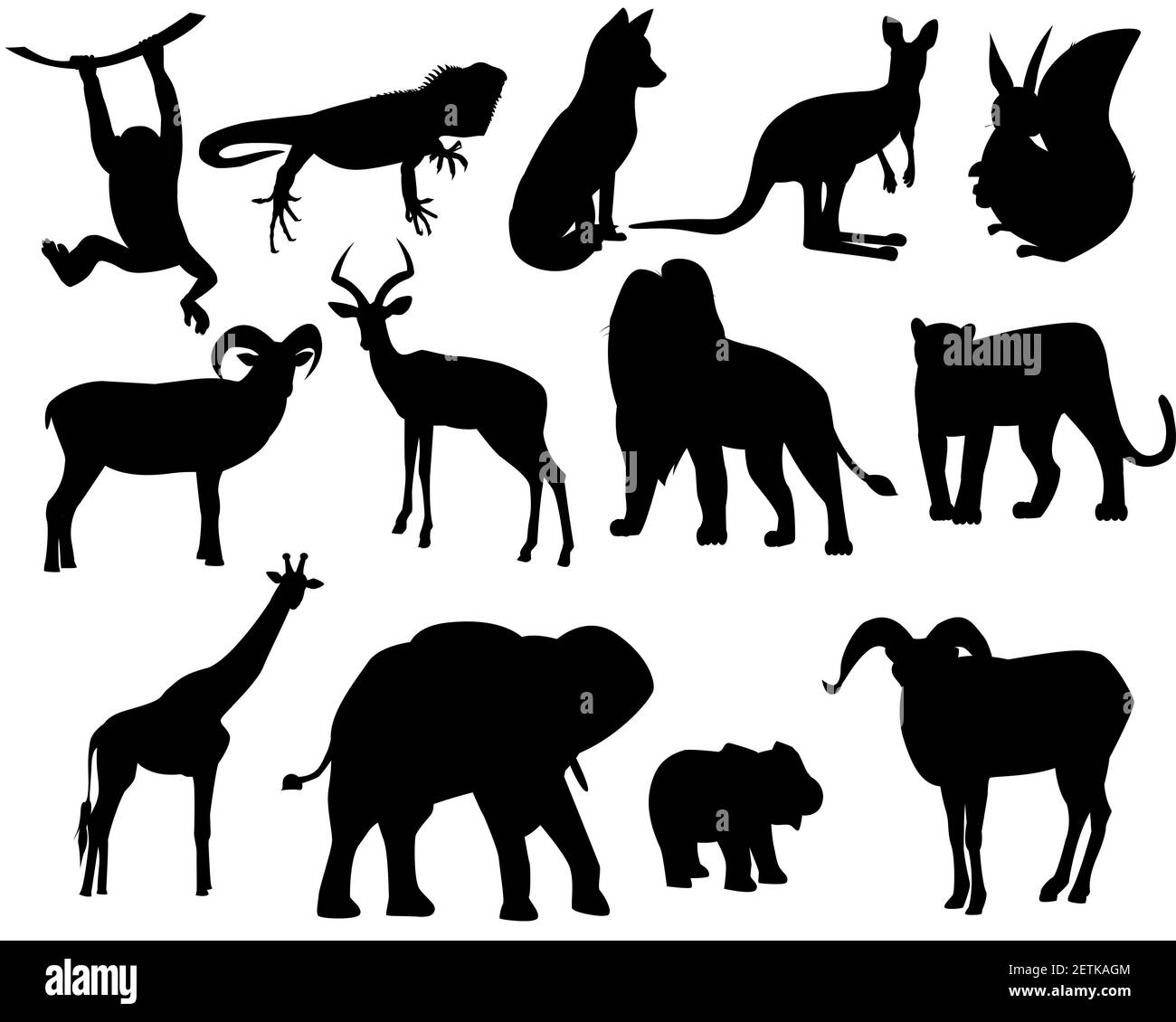 Set of silhouettes of wild animals, zoo Stock Vector Image & Art - Alamy