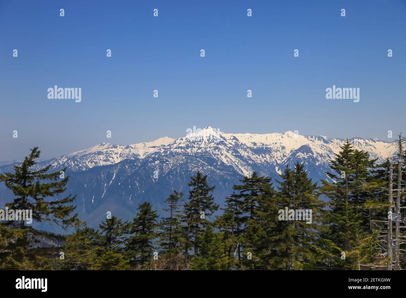 Tateyama Kurobe Alpine Route with beautiful landscape snow mountains., the tourists bus move along the japan alps snow wall with blue sky background. Stock Photo