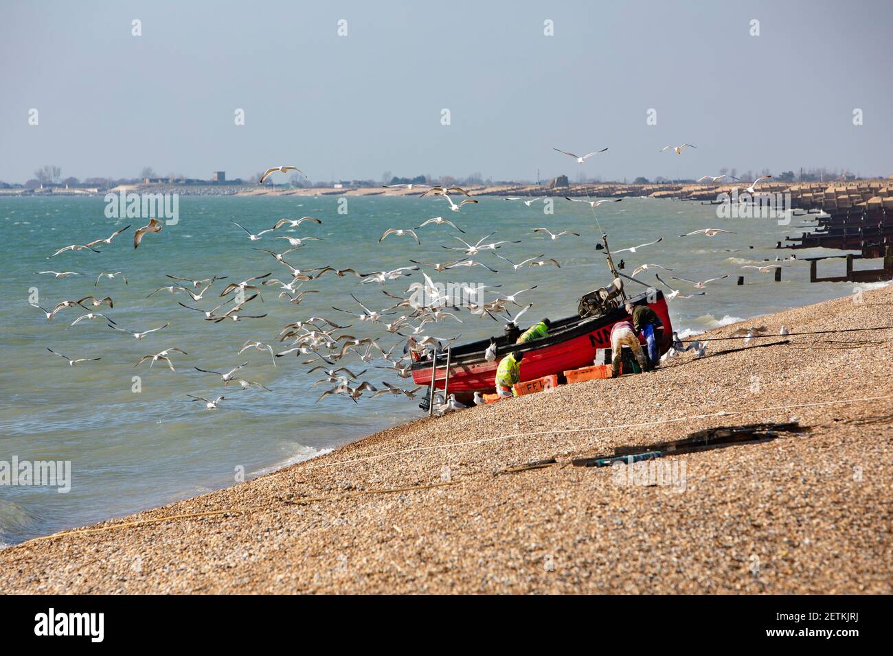 Fishermen unloading their catch on a beach, surrounded by seagulls. Stock Photo