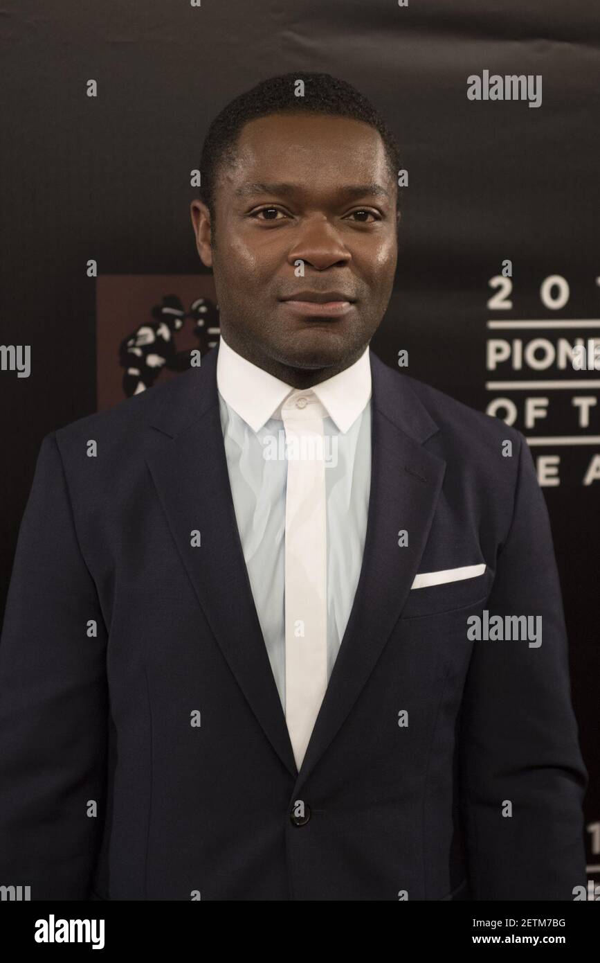 David Oyelowo arrives to the Pioneer of the Year Dinner red carpet