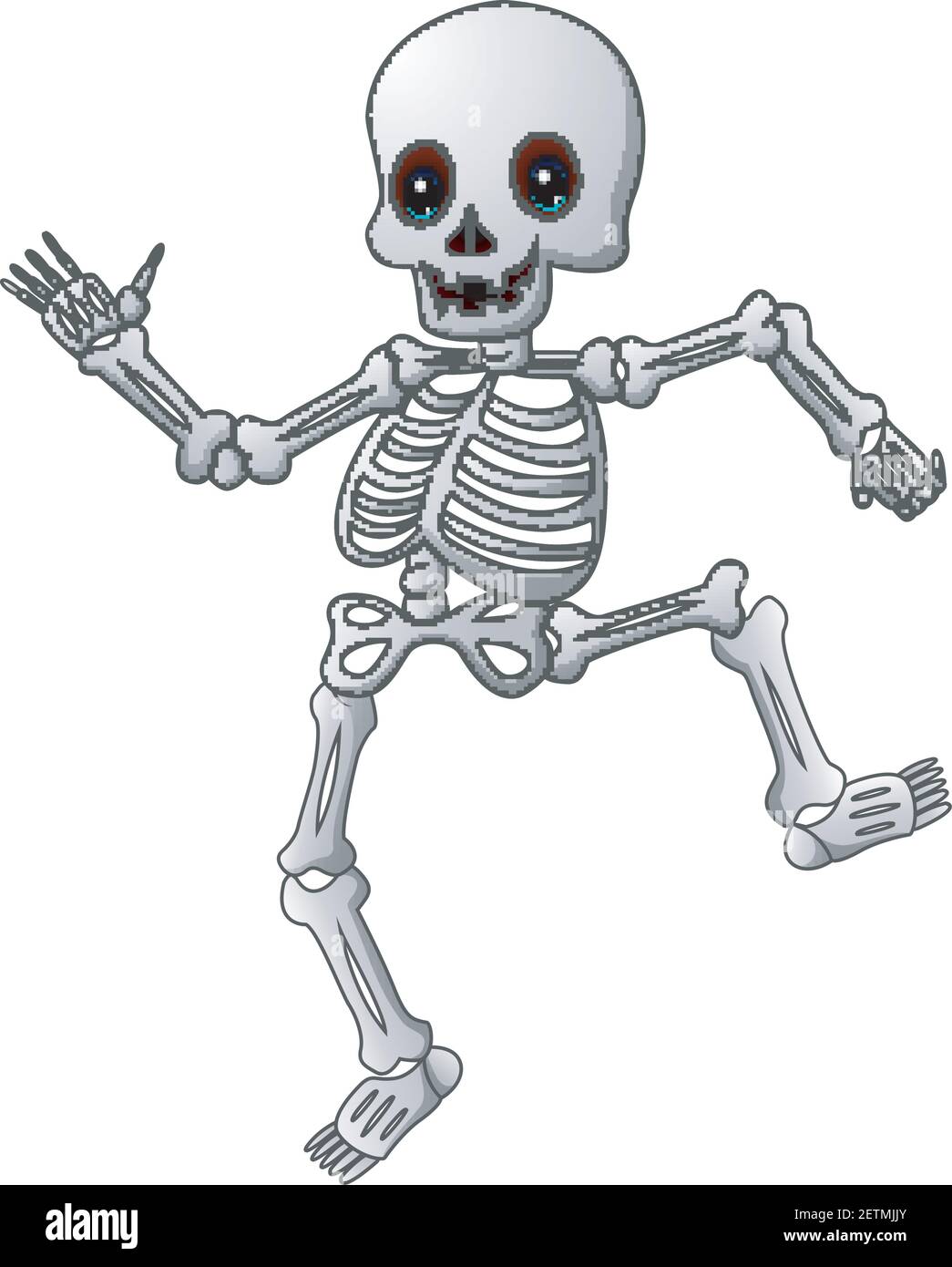 Premium Vector  Human skeleton hand drawing human skull