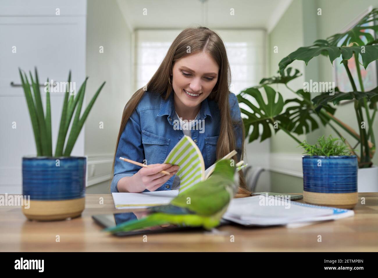 Young female university student studying online using video communication Stock Photo