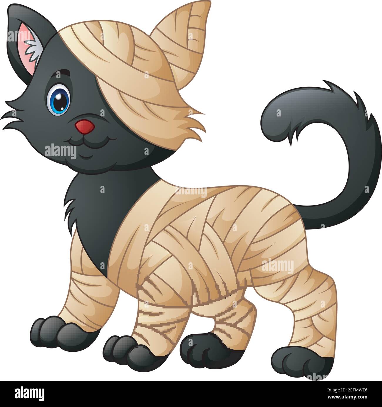Vector illustration of Cartoon cat dressed as a mummy Stock Vector ...