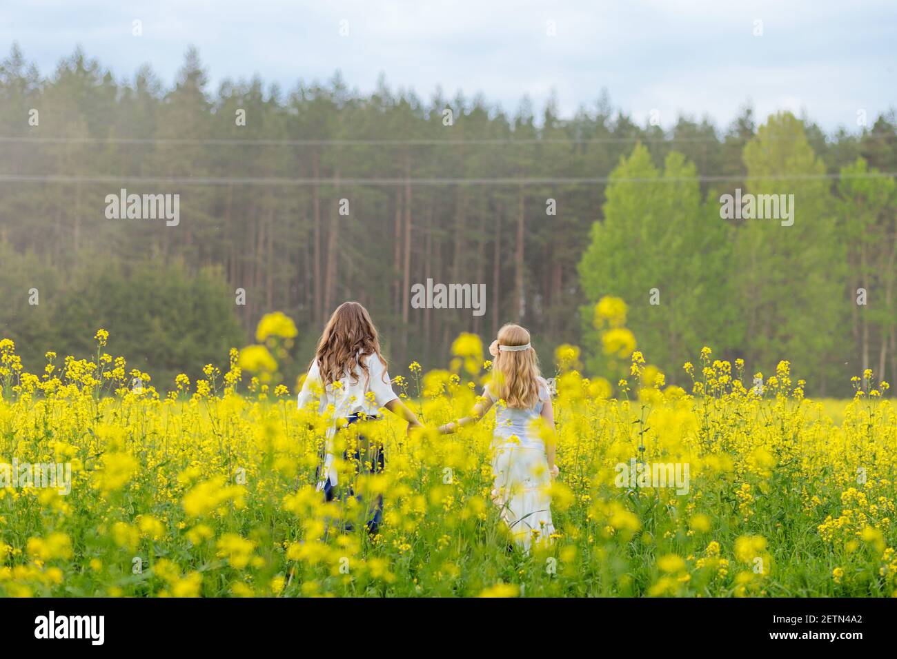 Two girls are walking along a blooming rapeseed field Stock Photo - Alamy