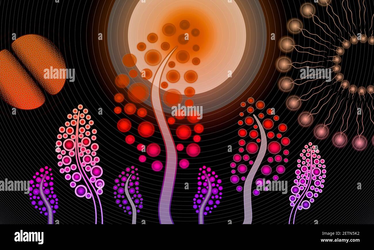 Synthetic Biology High Resolution Stock Photography and Images - Alamy