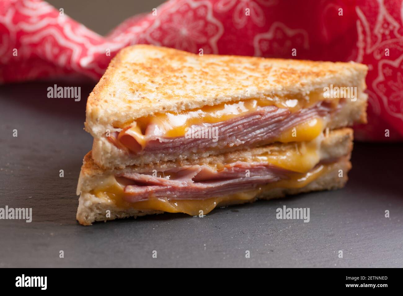 grilled ham and cheese sandwich with cheddar and havarti cheese Stock