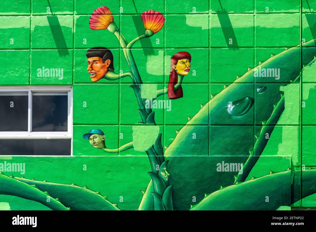 Miami, USA, The Wynwood Walls is a unique outdoor destination featuring