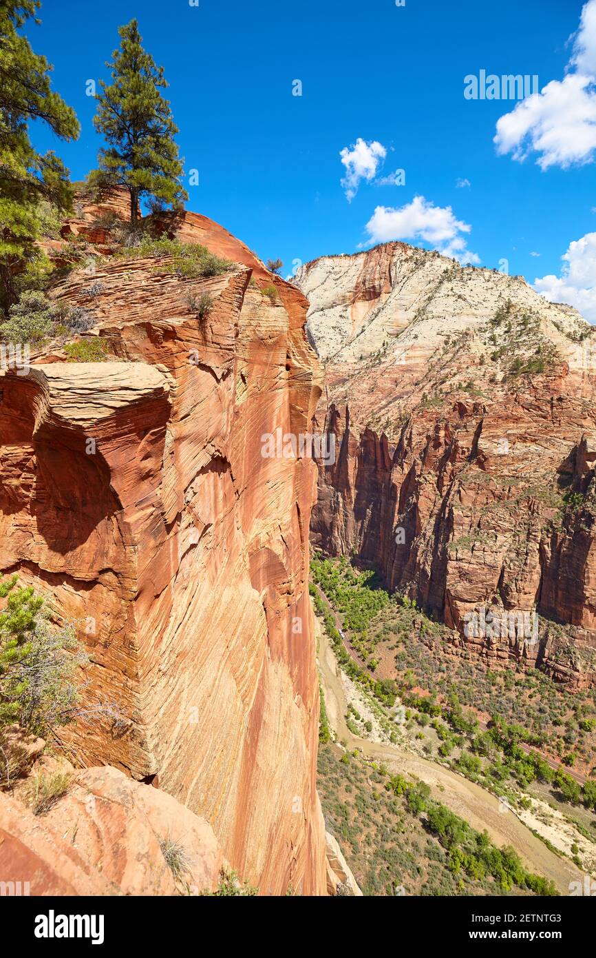 Scenic view of Zion National Park, Utah, USA. Stock Photo
