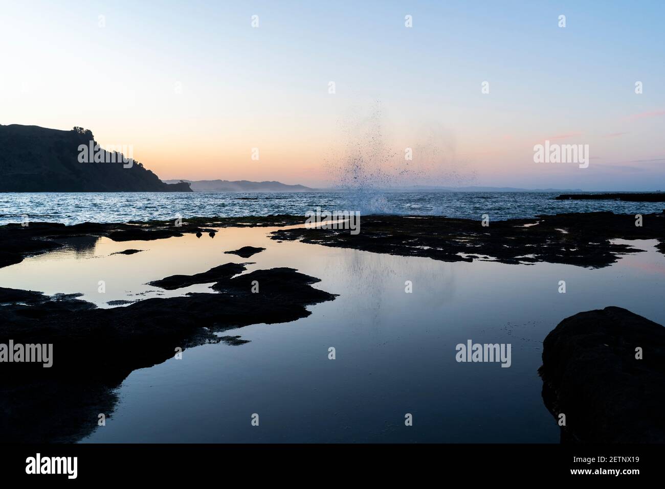 Leigh, New Zealand. Rockpools near Goat Island Stock Photo Alamy