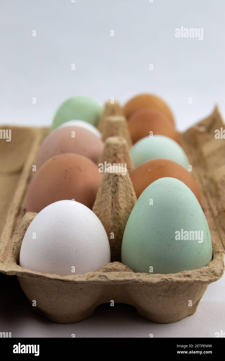 Green, brown and white eggs in a egg box Stock Photo