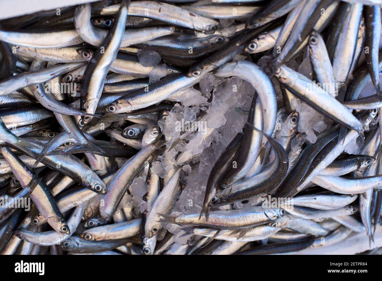 Hooked fish hi-res stock photography and images - Page 15 - Alamy