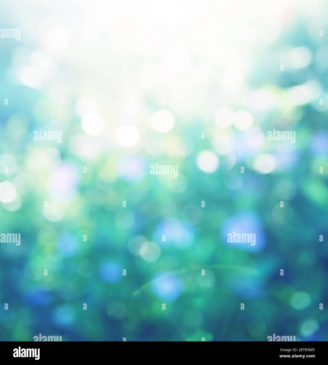 abstract blue christmas bokeh background Stock Photo - Alamy