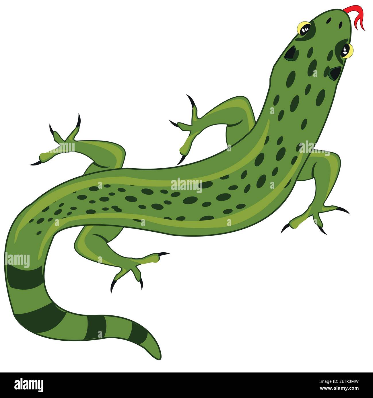 Lizard type overhand on white background is insulated Stock Vector