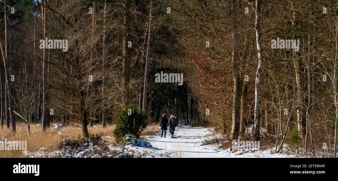 Winter scene with snow and a wandering couple in the forest Stock Photo
