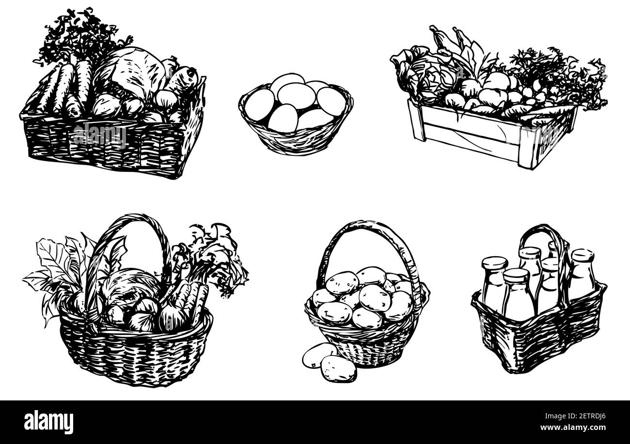 farm food in a basket - food, set of hand-drawn illustrations, vector Stock Vector