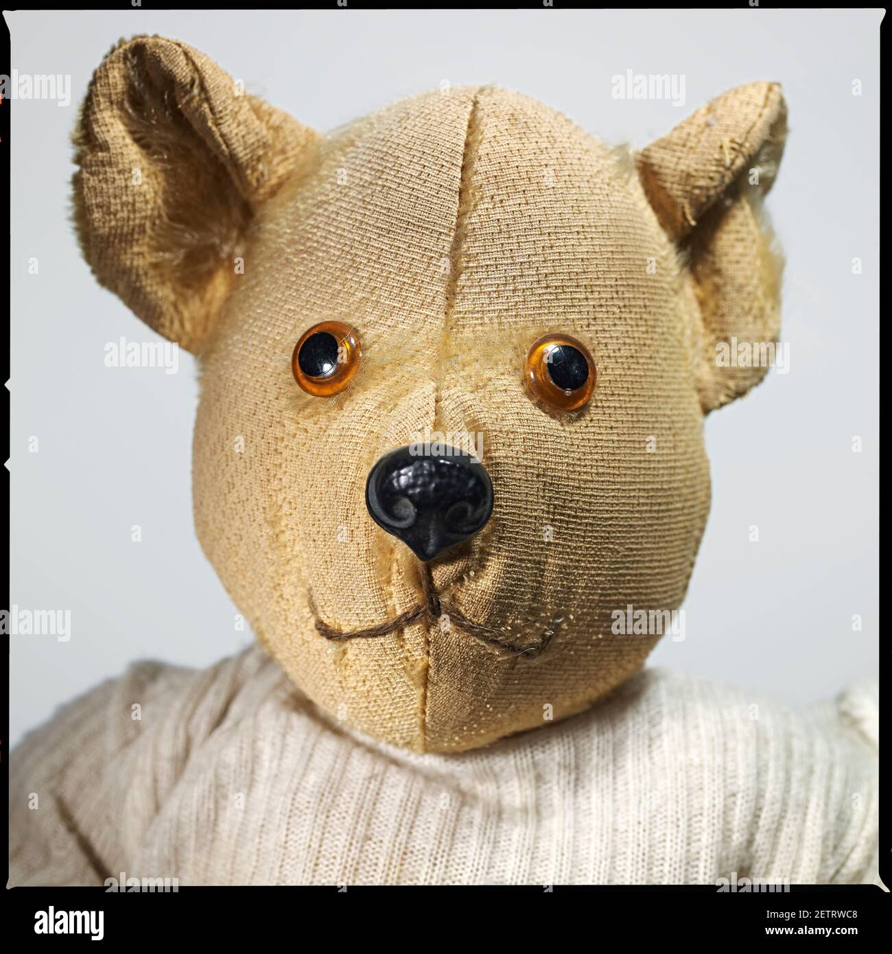 Still Life in the studio of worn and loved childhood teddy bear. Stock Photo