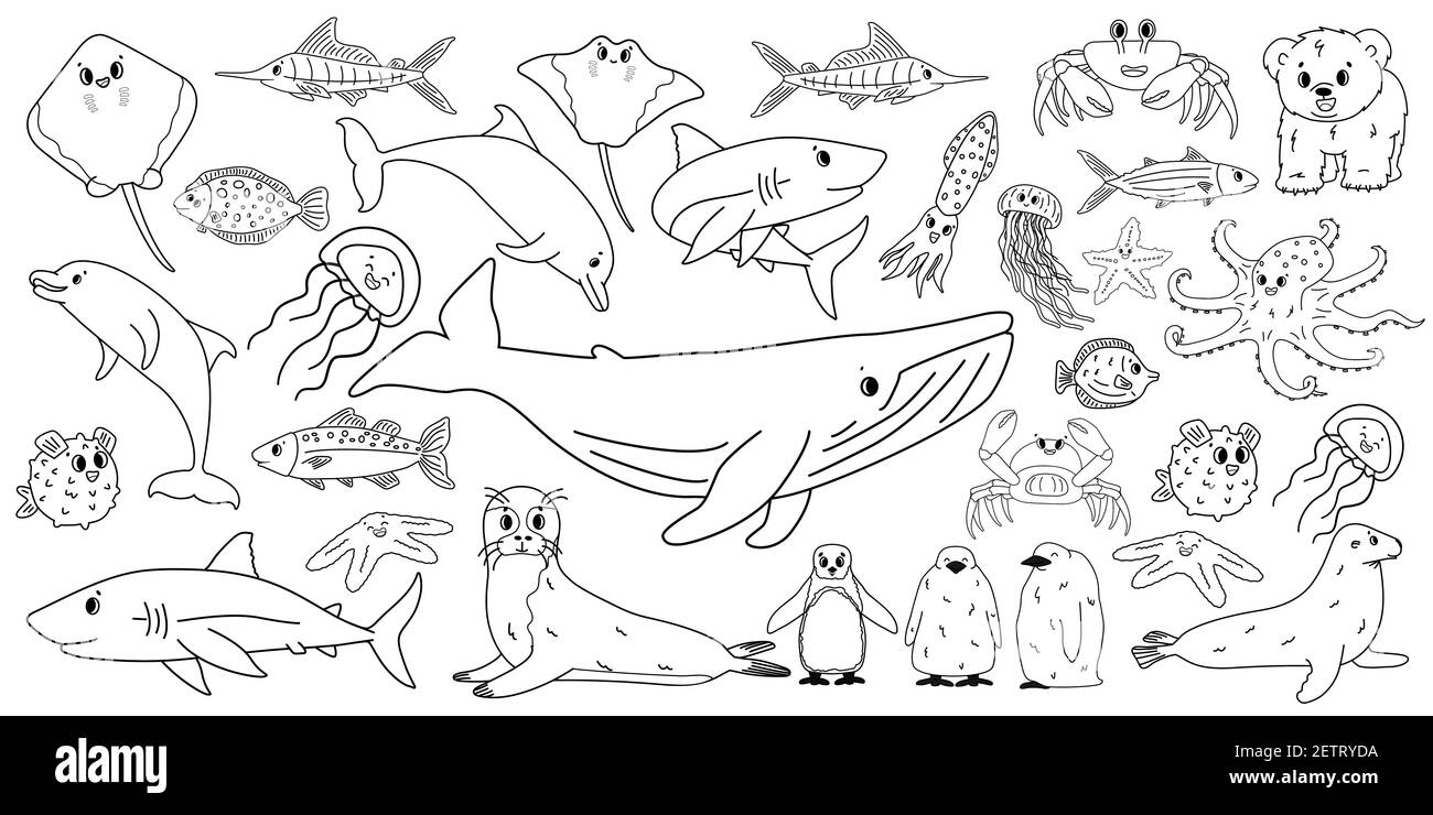 Big set vector cartoon outline isolated sea ocean north animals. Doodle whale, dolphin, shark, stingray, jellyfish, fish, crab, king Penguin chick, oc Stock Vector