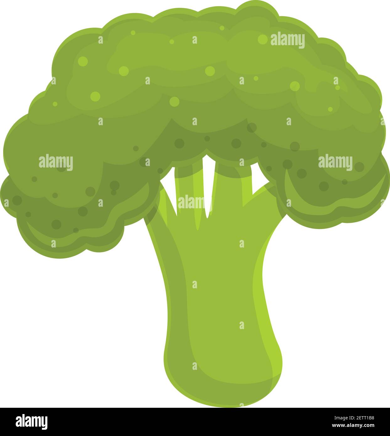 Broccoli vegetable icon. Cartoon of broccoli vegetable vector icon for web  design isolated on white background Stock Vector Image & Art - Alamy
