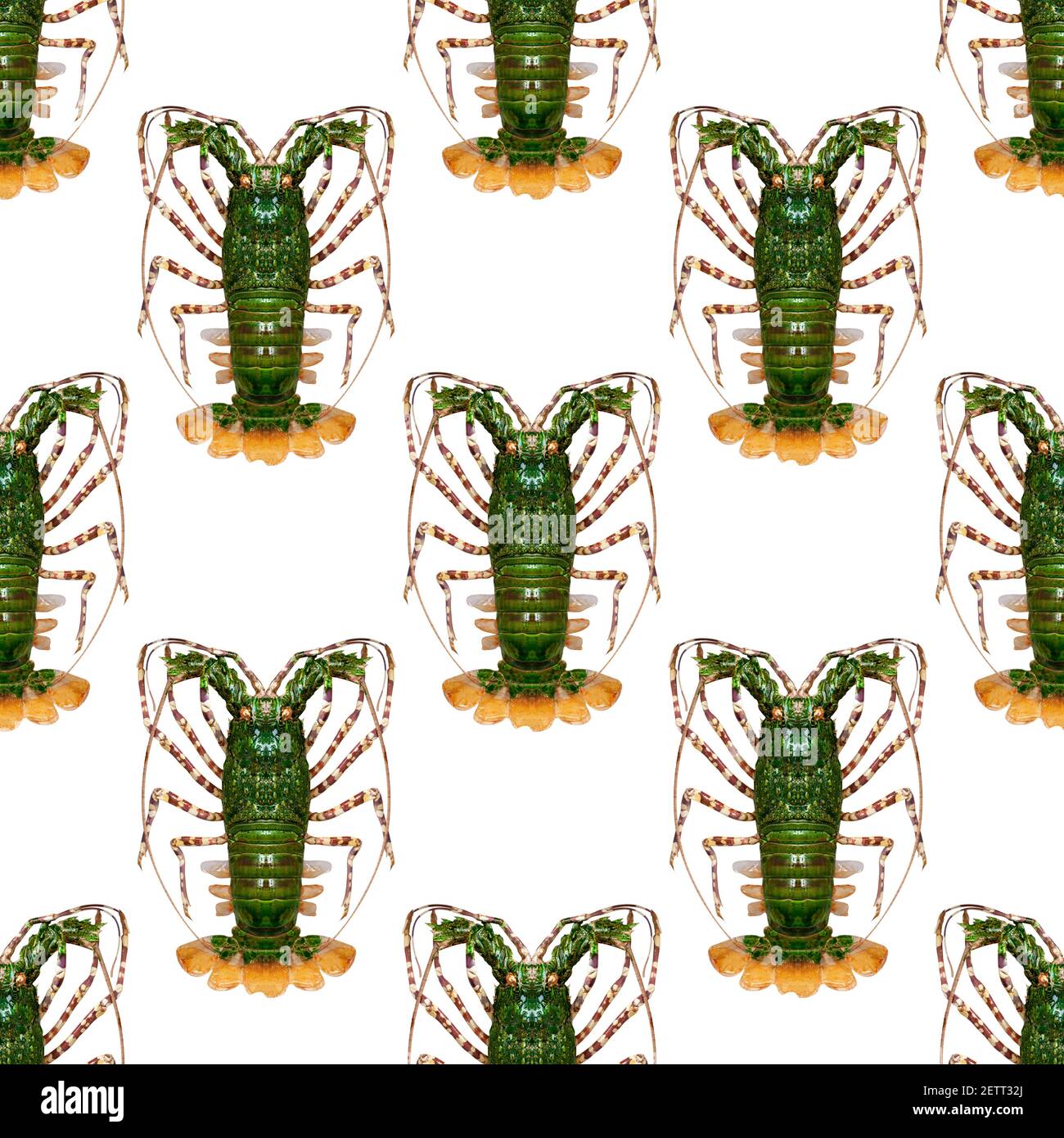 Seamless shrimp pattern hi-res stock photography and images - Alamy