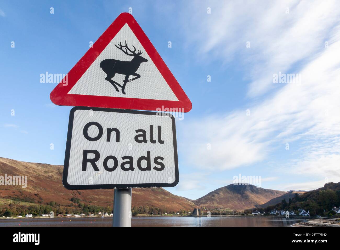 Deer warning road sign, Arran, Scotland, UK Stock Photo