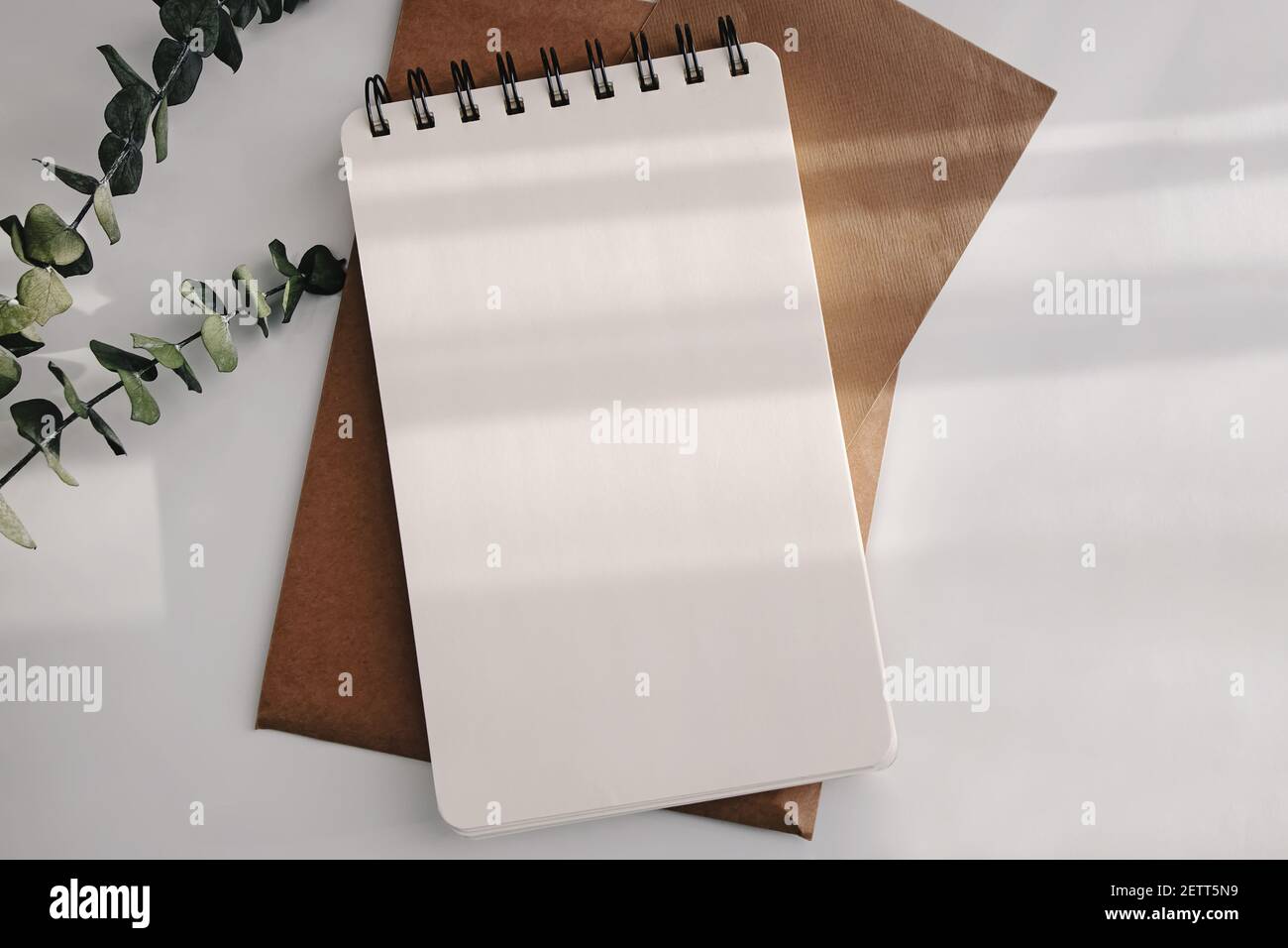Black notebook on a table with eucalyptus branches Stock Photo