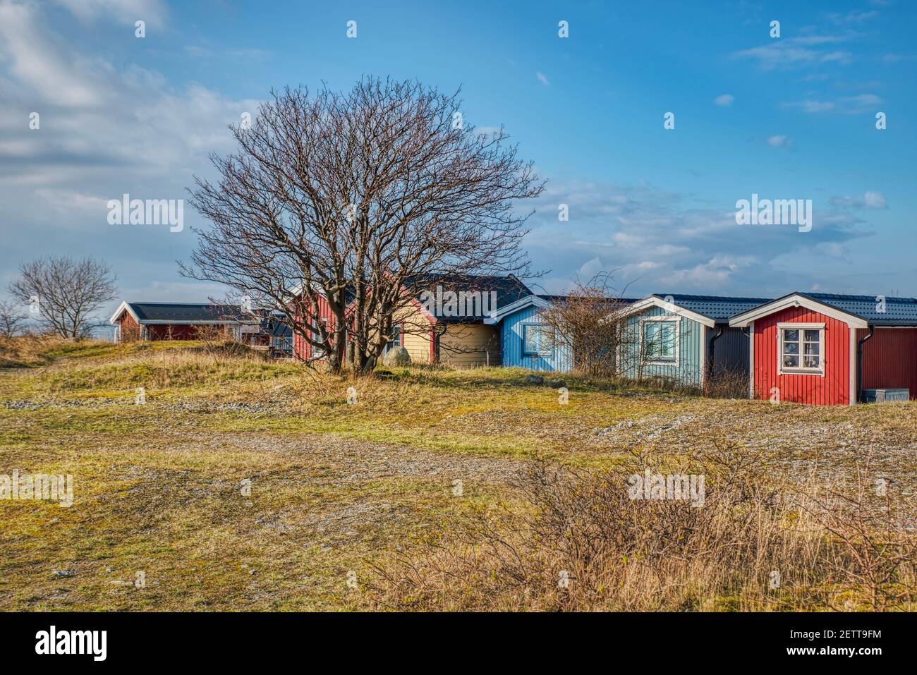 Backyard of colourful Swedish summerhouses shows a traditional, wealthy Swedish seaside village. Illustration of Nordic multi coloured summerhouse Stock Photo