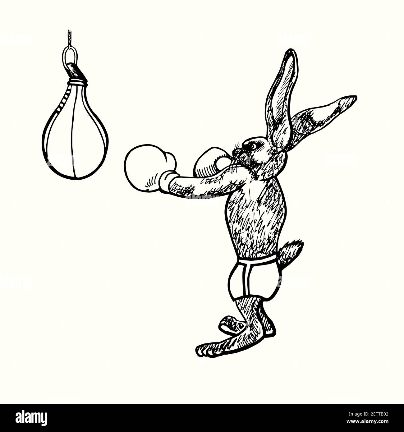 Rabbit (hare) in boxing gloves standing ready to hit punch bag, hand ...