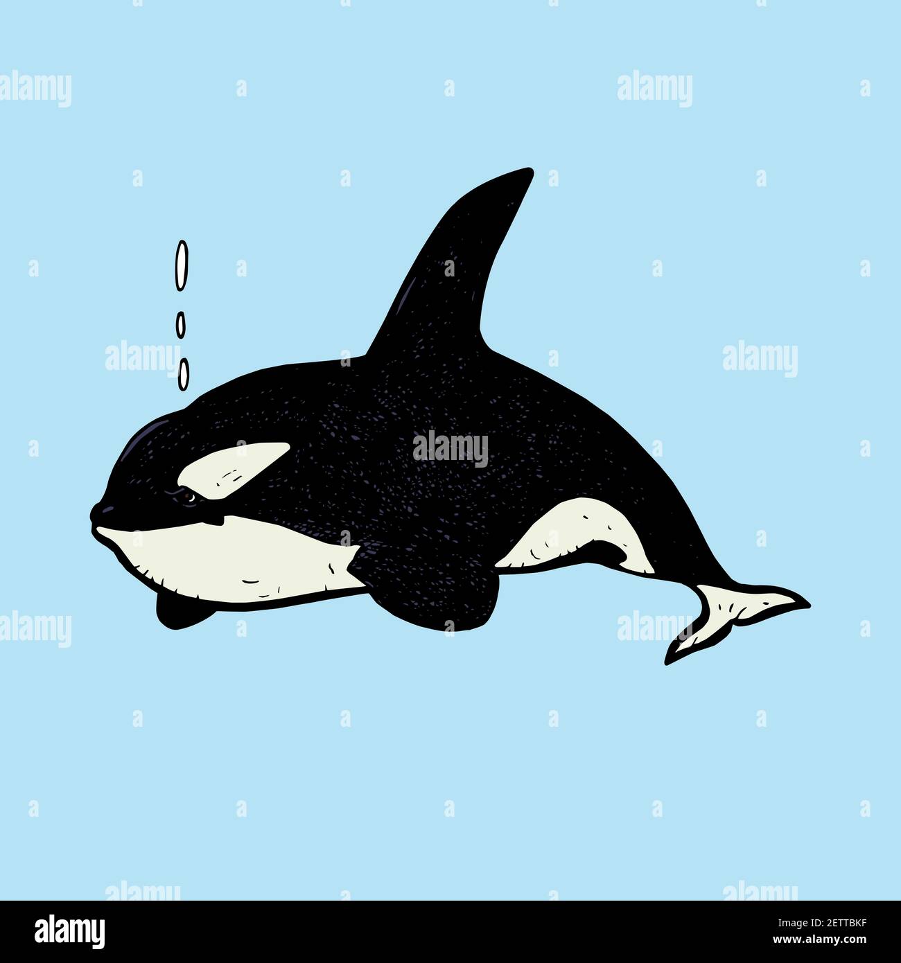 Orca Drawing High Resolution Stock Photography And Images Alamy