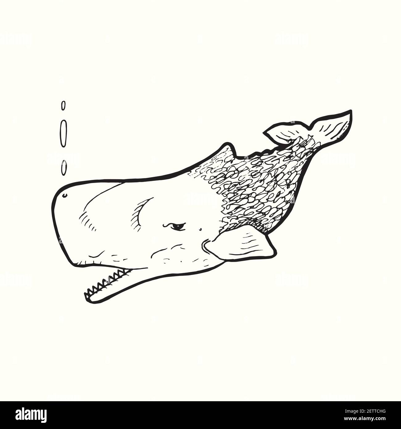 Blue Whale, hand drawn doodle gravure vintage style, sketch, outline illustration Stock Photo