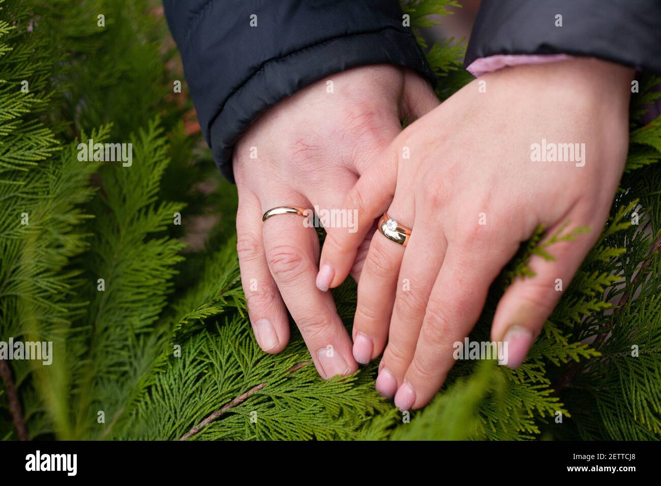 Husband and Wife S Rings/hands Stock Photo - Image of bands, love: 17967726