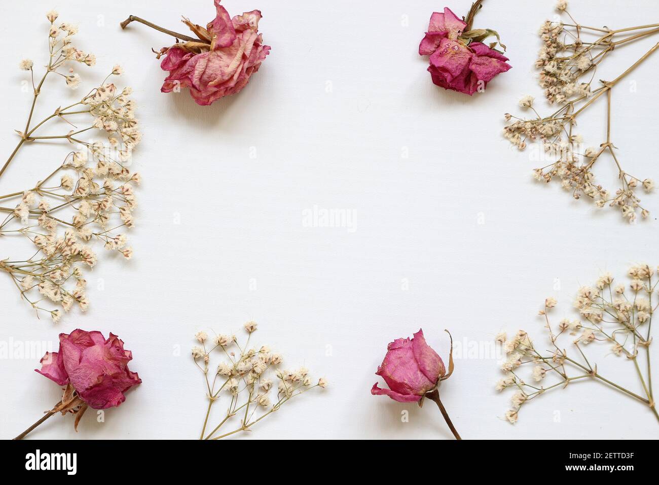 a frame of pink roses dried flowers Stock Photo