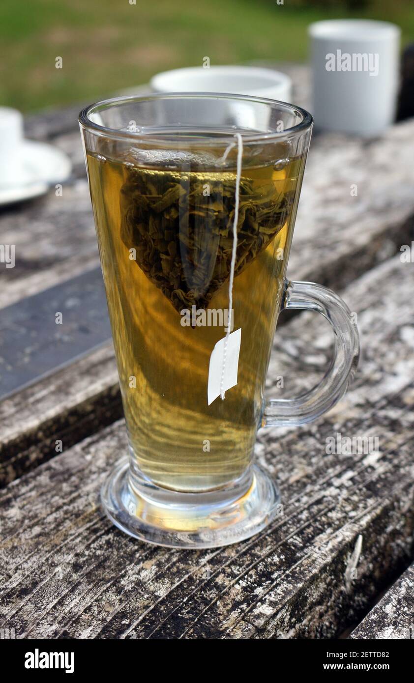 Green tea in a tall glass on a wooden table Stock Photo