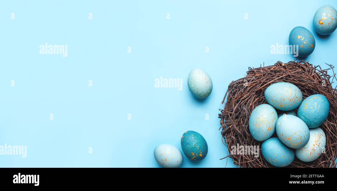 Easter eggs in nest on blue background Stock Photo - Alamy