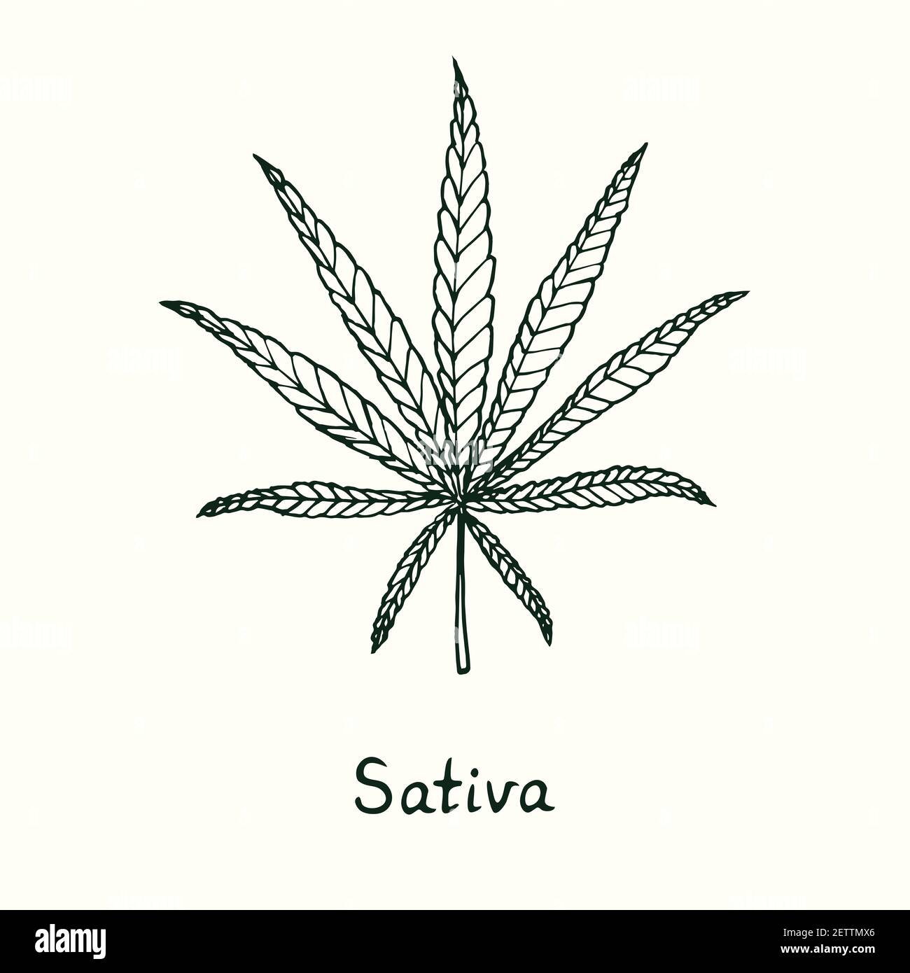 cannabis leaf outline