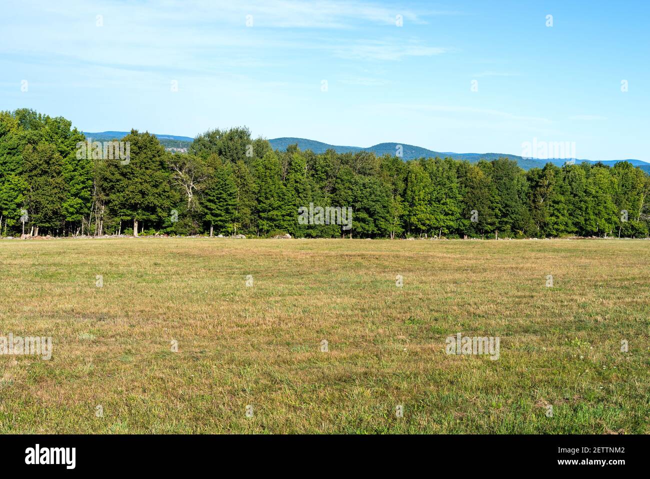 Vacant land with field and trees bordered by a rock wall in the late summer. Stock Photo
