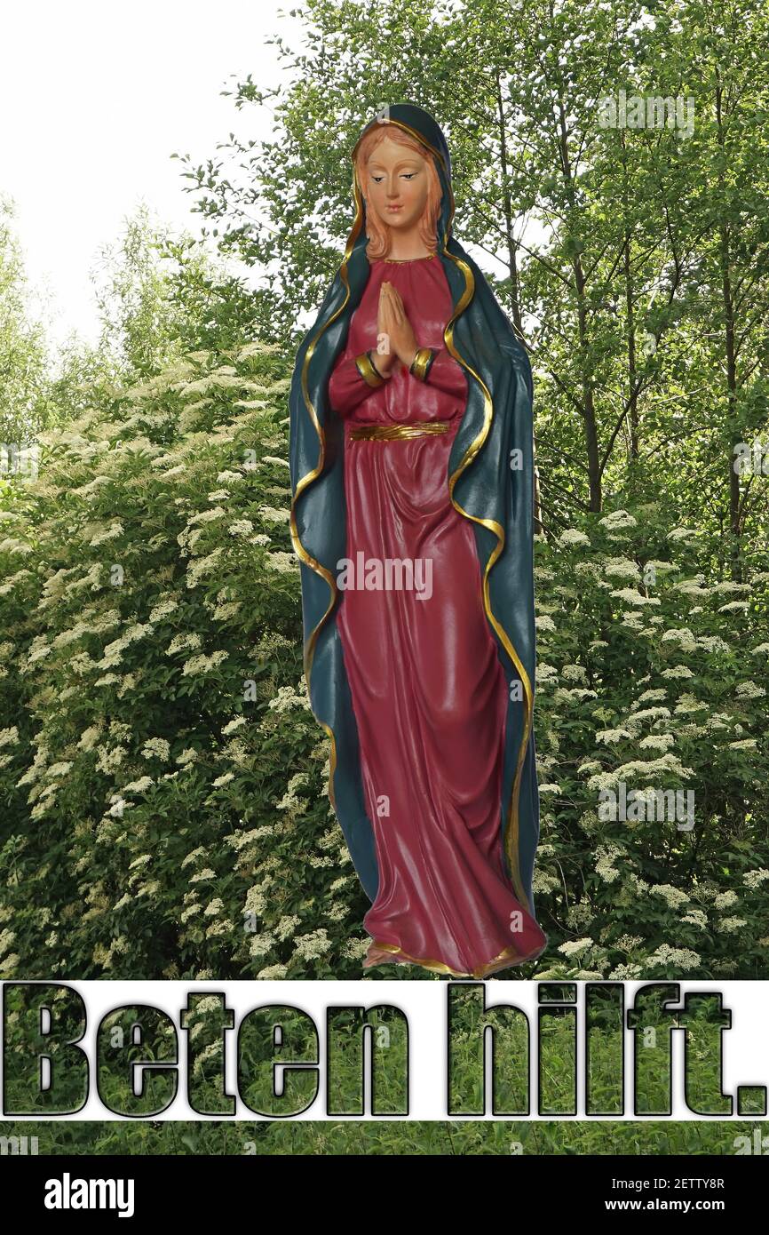 Prayer helps - Beten hilft. Statue of Saint Mary dwith folded hands in front of blooming  Elderberry bush and trees. Red and blue garment.2019 Stock Photo