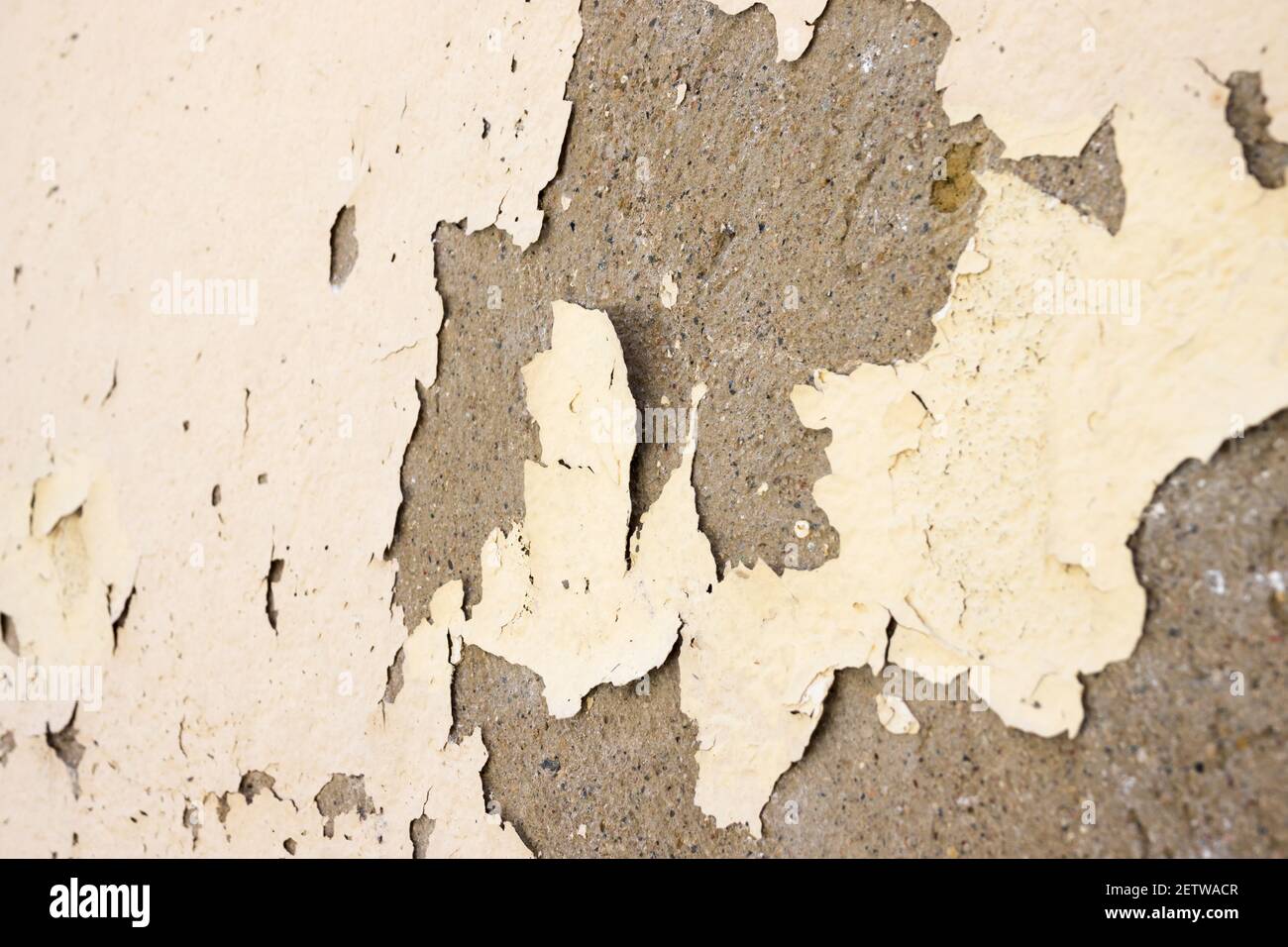 Wall paint peeling off due to moisture Stock Photo Alamy