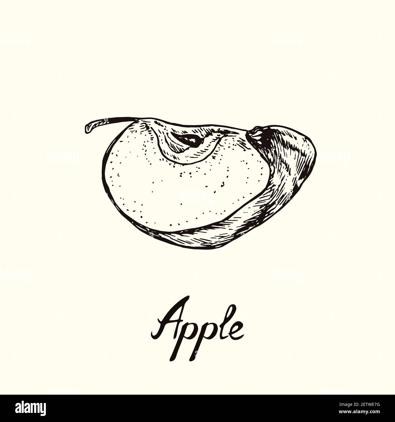 Apple Half Cut Hand Draw High Resolution Stock Photography And Images Alamy Apple Half Cut Hand Draw High Resolution Stock Photography And Images Alamy