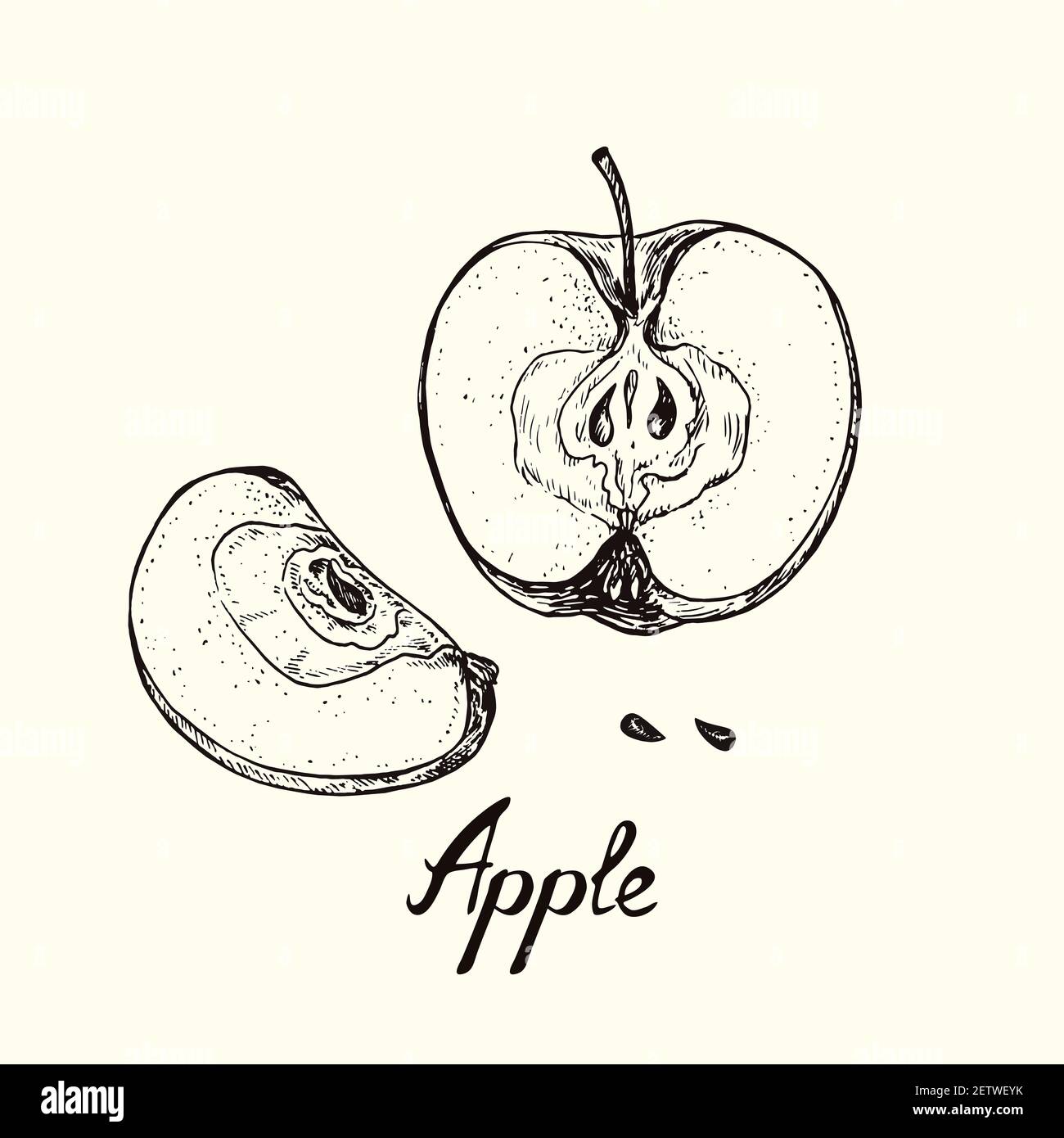 Apple Half Cut Hand Draw High Resolution Stock Photography And Images Alamy Apple Half Cut Hand Draw High Resolution Stock Photography And Images Alamy