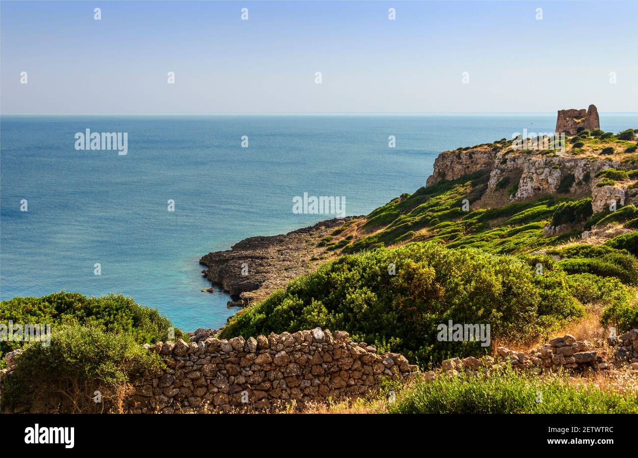 Salento coast: view of Uluzzo Bay with watchtower in Italy, Apulia. Regional Natural Park Porto Selvaggio and Palude del Capitano is rocky and jagged. Stock Photo