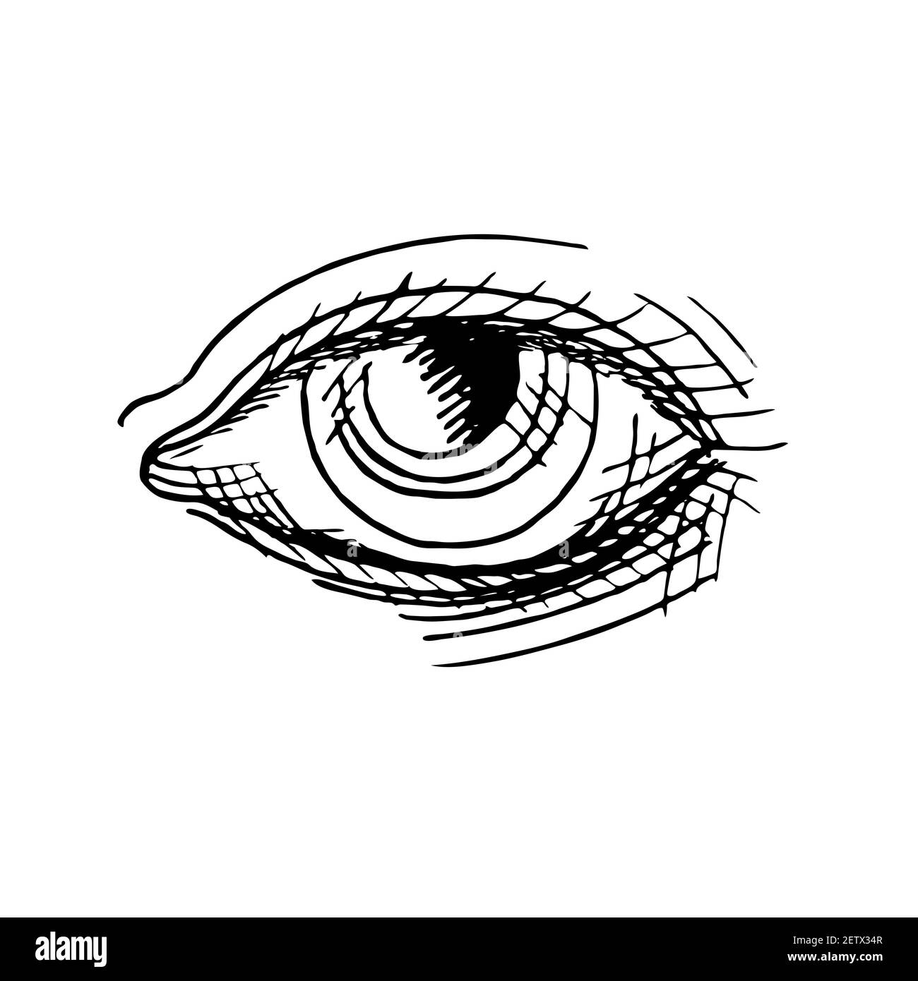 Eye, doodle black ink drawing, woodcut style Stock Photo Alamy